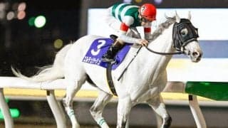 【船橋・報知グランプリC結果】10歳馬エルデュクラージュ 1年ぶりの勝利で重賞2勝目