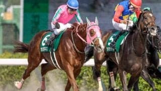 【東海S枠順確定】オメガギネスは5枠10番、ブライアンセンスは7枠13番