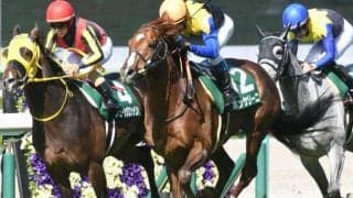 【AJCC枠順確定】ボッケリーニは8枠12番、モリアーナは3枠3番