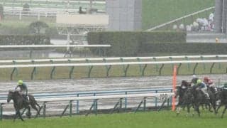 ひさびさに雨予報の京都 道悪馬場なら芝は松山騎手・ダートは米国血統に注目