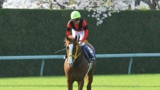 右前浅屈腱炎発症のジャックドール 今後について藤岡師「オーナーと相談して…」