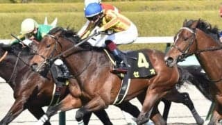 京都芝はパワー優先 単騎逃げ＆道悪巧者のセオを狙い撃ち