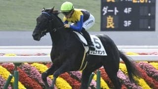 金子真人オーナーが若駒S7勝目なるか 05年にはディープインパクトでV