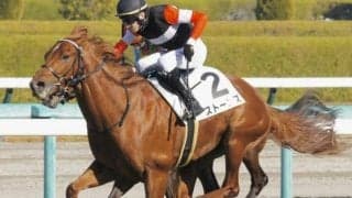 3億円馬ストーンズが若駒S参戦 勝利すれば“クラシック超有力”候補に