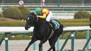 【シルクロードS想定馬・騎手】アグリ、オタルエバーなど20頭