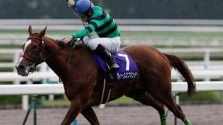 一族には個性的な名馬 エ女杯154万馬券の主役の仔がデビュー戦