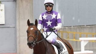 【今日の注目ポイント】出世レースの若駒SにGI・3着のサンライズジパングが登場