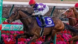 若き芝ダート二刀流 若駒Sで武豊騎手と再タッグ…賞金加算なるか