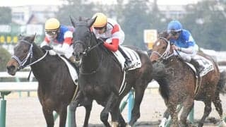 【京都5R新馬戦結果】キズナ産駒ダノンピレネーが競り合いを制す