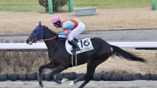 【中山4R/3歳新馬】エクリプスルバンが3馬身差完勝