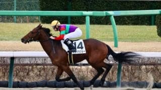 【中山3R/3歳新馬】マクフィ産駒 テンクウジョーが抜け出す…良血ローリーグローリーは2着