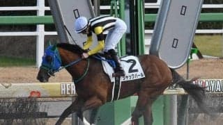 中山8Rで3連単710万超えの大波乱 10番人気→13番人気→11番人気で決着