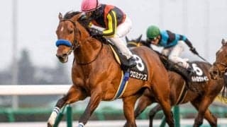 【AJCC予想】今年は関連強い菊花賞＆有馬記念組が不在！ 距離別では2000m戦組に注目