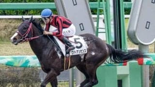 【東海S予想】前走オープン以上の出走馬が強さを見せる！ 条件戦からの参戦に求められる好走の条件は