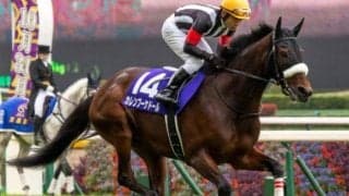 姉はGIで2着3回の“最強の2勝馬” サンライズソレイユがデビューVなるか