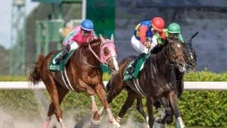 【東海S前日オッズ】オメガギネスが2.0倍で1番人気