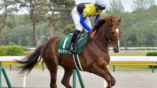 【AJCC前日オッズ】ボッケリーニが4.4倍で1番人気