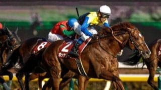 【AI予想・AJCC】道悪ならば欧州向きの種牡馬に要注意!? 総合力の高さが際立つベテランに期待