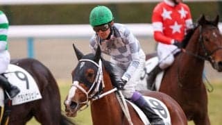 【京都12R】武豊「芝ダート両方で走れそう」ゴールドサーベルが鮮やかに差し切る