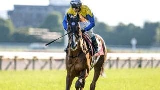 【今日の注目ポイント】中山でAJCCと京都で東海Sの2重賞