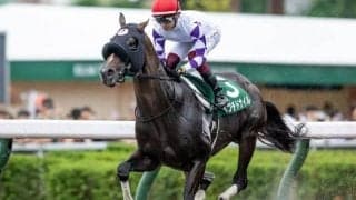 【東海S予想】今年は京都で行われるフェブラリーS前哨戦 GIへの直行切符を手にするのは？