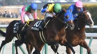 【AJCC予想】過去10年で1番人気は2勝のみ ときに波乱もある伝統のGII戦
