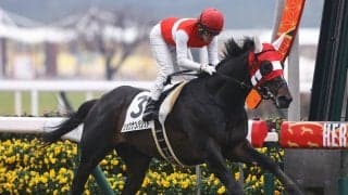 AJCCは人気落ちの実力馬２頭に注目　荒れ馬場を味方に大駆け期待