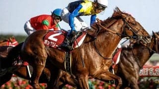 【AJCC予想】馬券は上位＆中位人気の組み合わせで攻める？ 過去10年データで探るAJCC