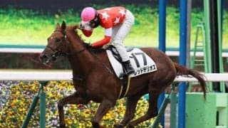 【新馬/中山6R】ジャスタウェイ産駒 レッドテリオスが差し切り勝ち