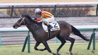 【中山5R】キングスコートがJRA初勝利…カムフライで抜け出す