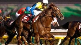 【AJCC・馬体重】ボッケリーニは470kg(-4)、マイネルウィルトスは488kg(+2)