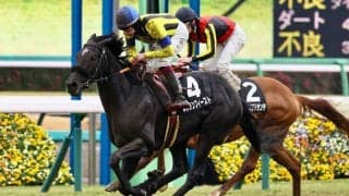 【若竹賞】ルカランフィーストが大外から力強く突き抜け2勝目
