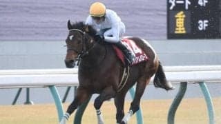 【東海S結果】ウィリアムバローズが押し切り重賞初制覇