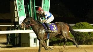 【佐賀・花吹雪賞】グラインドアウトが8馬身差圧勝…赤岡「気持ちよかったです」