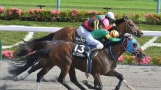 フェブラリーSの前哨戦・根岸Sなど2重賞/今週の競馬界の見どころ