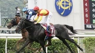 【シルクロードS】アグリなど20頭