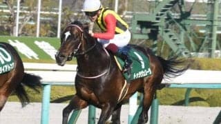 【シルクロードS見どころ】9歳馬トゥラヴェスーラの初重賞制覇なるか