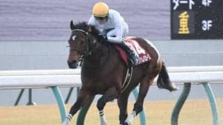 【東海S】売上は58億9066万6500円で昨年より約2.8億円増加