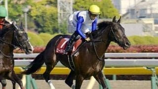 【先週のJRA抹消馬】22年の青葉賞2着馬ロードレゼル、ダート中距離戦で活躍したカラフルキューブなど