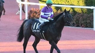 【根岸S想定騎手】エンペラーワケアは川田将雅騎手、サンライズフレイムは藤岡康太騎手