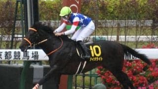 【AI予想・根岸S】穴馬3頭が◎候補で波乱の予感 前走のレース格と距離は要チェック！