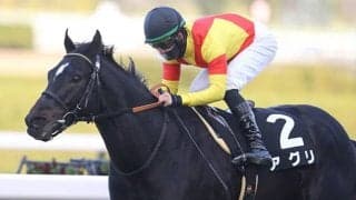 【シルクロードS想定騎手】アグリは坂井瑠星騎手、ルガルは西村淳也騎手