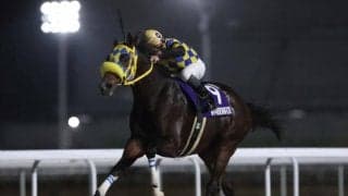 【大井・金盃枠順】3連勝中のアンタンスルフレは6枠11番