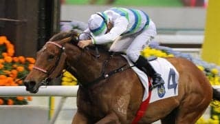 ドウデュース出走のドバイターフに香港の“超新星”が参戦か　「ゴールデンシックスティの後継候補」と脚光