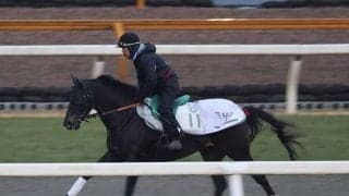 サンライズロナウドなど、先週の入厩情報/栗東トレセンニュース