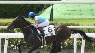 24年活躍期待の古馬は？ 競馬好き芸人が“バケモノ”と表現したダート馬とは