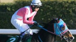 武豊騎手が15回目の挑戦で根岸S初制覇なるか ヘリオスと3年連続コンビで参戦