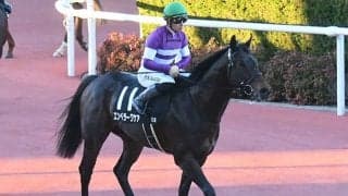 【根岸S予想オッズ】エンペラーワケアが予想1番人気