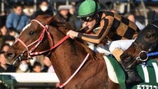 根岸Sでダートに初挑戦した馬を回想 モズアスコットにロゴタイプなどGI馬も多数
