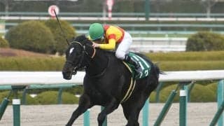 【シルクロードS予想オッズ】アグリが予想1番人気